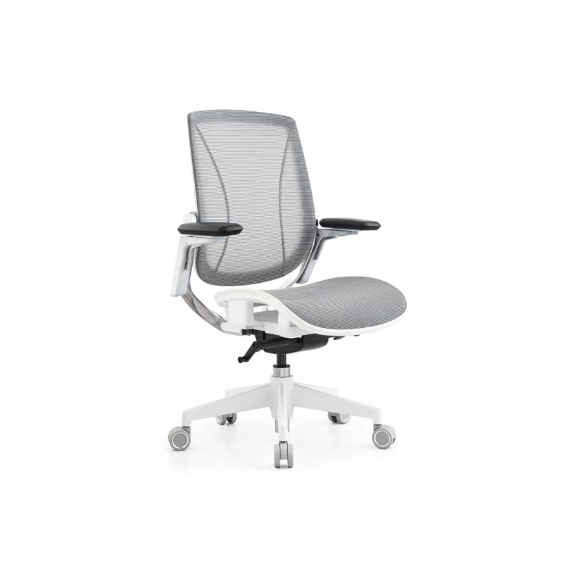 ergonomic chair with mesh seat and back