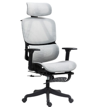 XC-20012 Ergonomic Chair