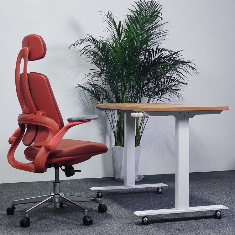 Back_Support_Ergonomic_Chair_3.jpg
