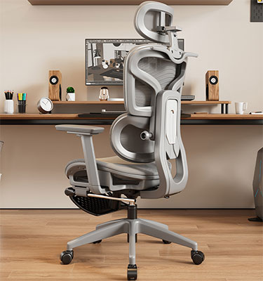 XC-20021 Lumbar Support Ergonomic Chair