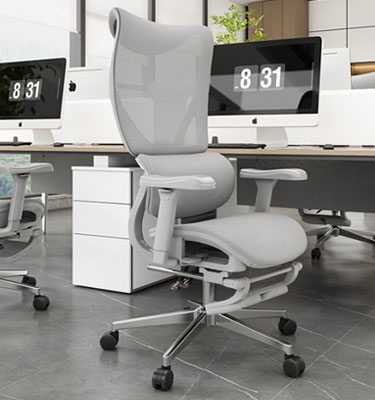 XC-20018 Ergonomic Chair