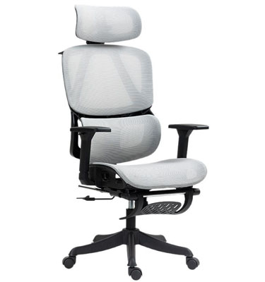 XC-20012 Ergonomic Chair