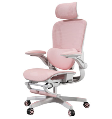 XC-20016 Ergonomic Chair