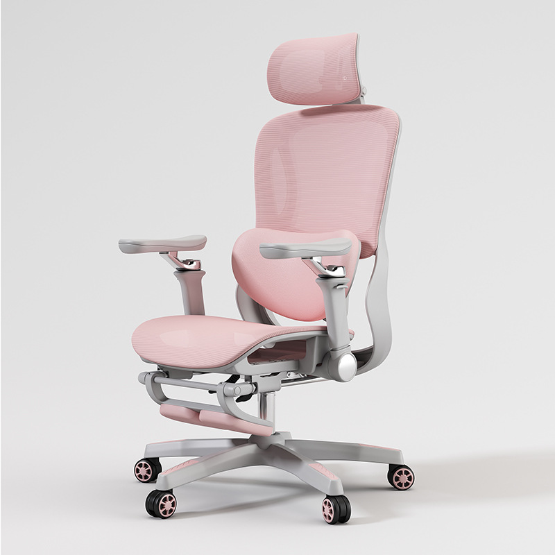 the ergo chair