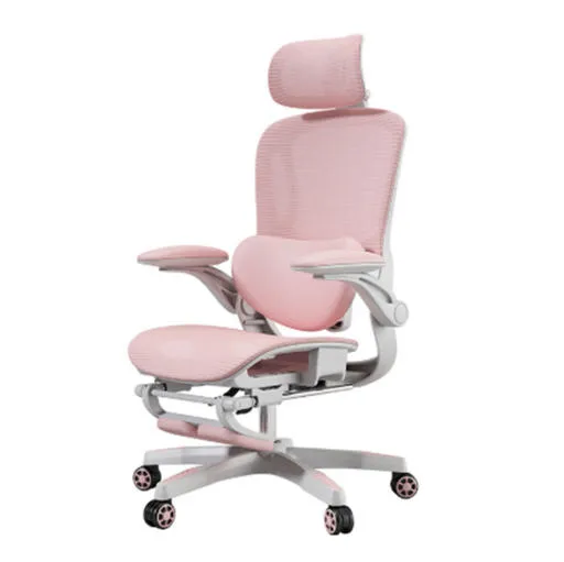 Ergonomic Chairs: The Art of Comfort in the Era of Prolonged Sitting
