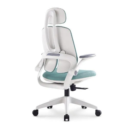 Celebrity Live Streaming Back Support Ergonomic Chair | Creator-Approved Seating